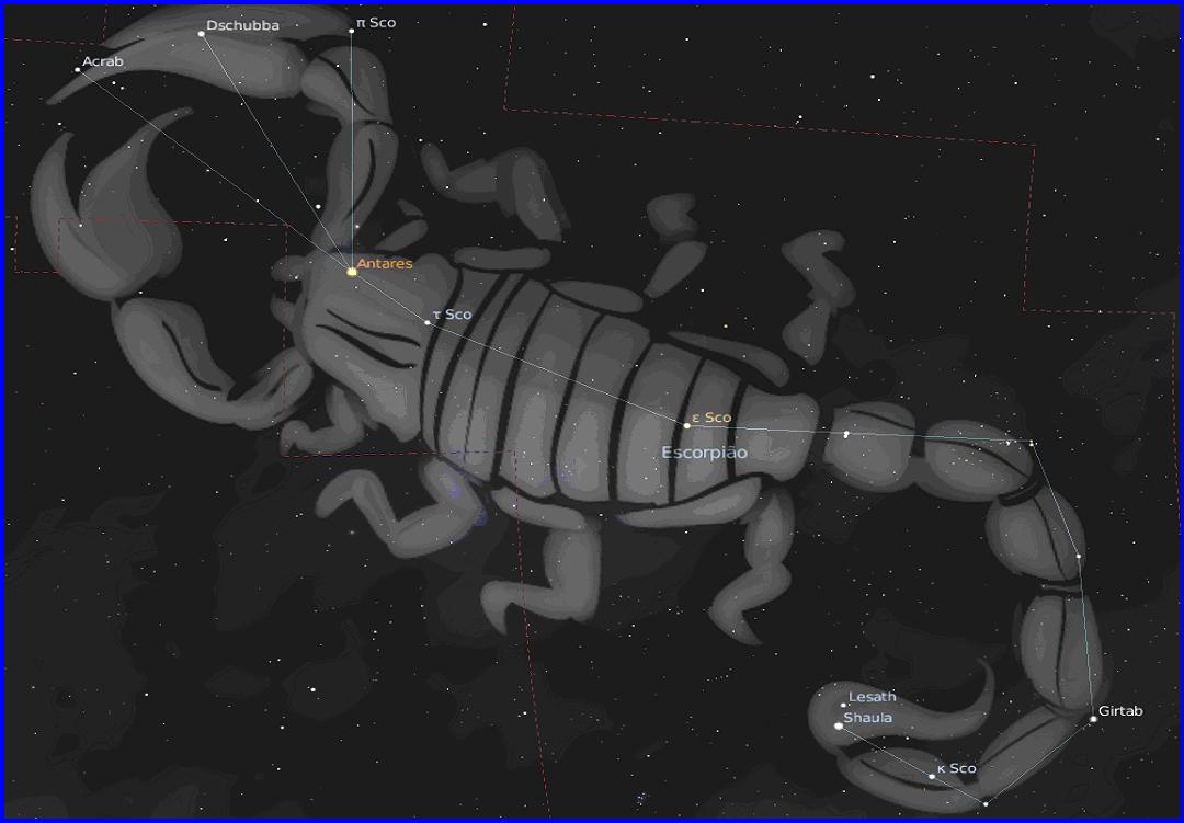 constelação de escorpião com o desenho de um escorpião