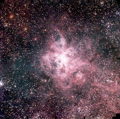 A Nebulosa da Tarântula